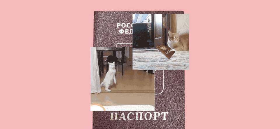 Что будет если потерять паспорт