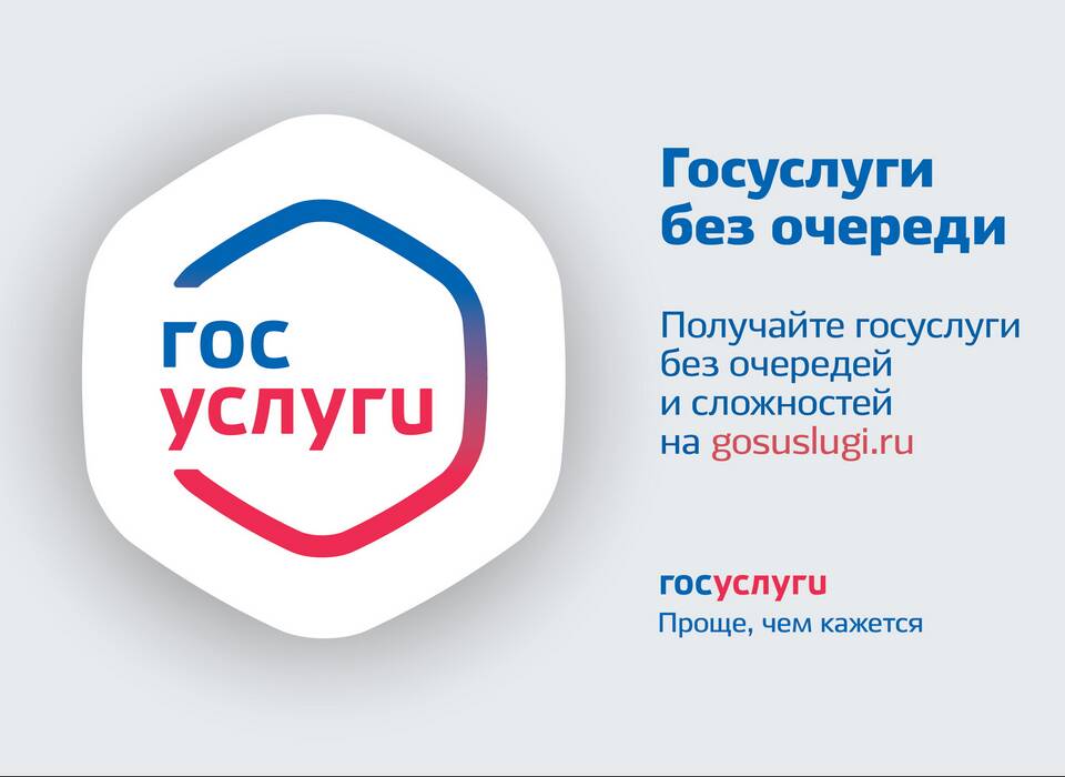 Что значит ИП на Госуслугах