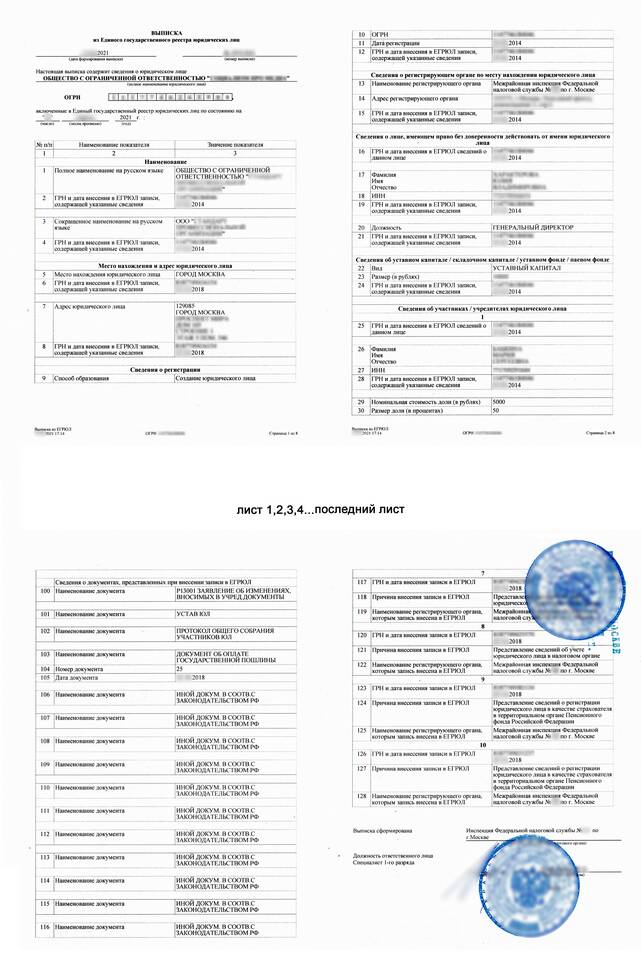 Как получить расширенную выписку из ЕГРИП
