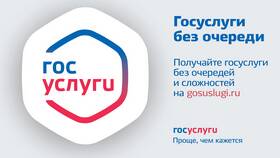 Что значит ИП на Госуслугах в Магия Золота