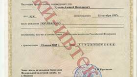 Как найти организацию по ИНН в налоговой в Магия Золота