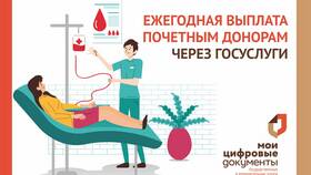 Как получить государственные выплаты через Госуслуги в Магия Золота