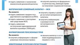 Как получить выписку из СФР через Госуслуги в Магия Золота