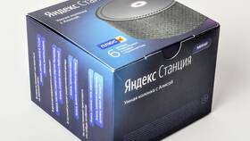 Как пользоваться Алисой без подписки в Магия Золота
