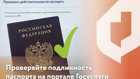 Как проверить паспорт на подлинность в Магия Золота