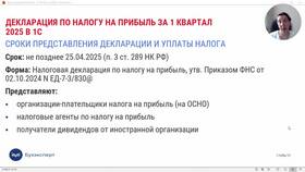 Как сдать декларацию по форме 270 в Магия Золота