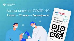 Как сканировать QR-код на Госуслугах в Магия Золота