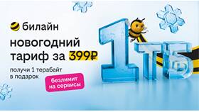 Как увеличить интернет, минуты и баланс на Билайн в Магия Золота