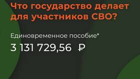Как узнать о выплатах СВО в Магия Золота