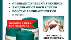 Лив 52: инструкция по применению и от чего помогает в Магия Золота