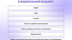 На что направляются налоги в Магия Золота