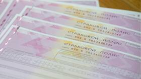 Почему Госуслуги Авто не видит полис ОСАГО в Магия Золота