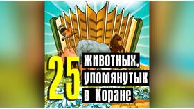 Почему в Коране существуют запреты в Магия Золота