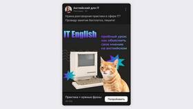 Специфика услуги: ключевые аспекты