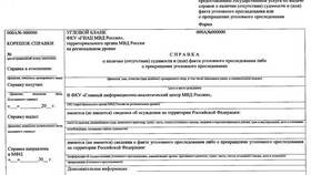 Сроки получения справки о судимости через Госуслуги в Магия Золота