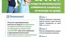 Зачем нужна выписка из ПФР: назначение и применение в Магия Золота